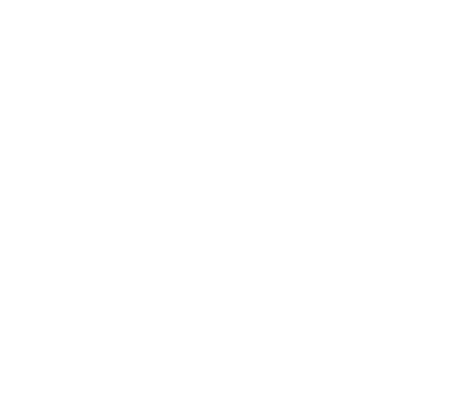 Volsera Web Hosting